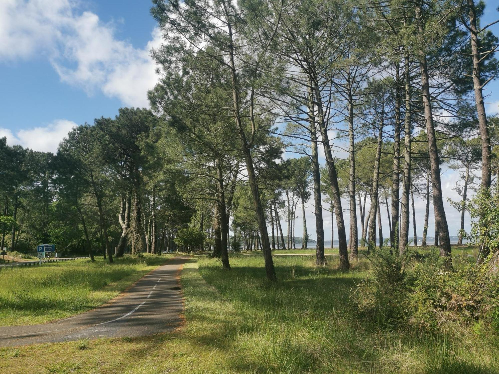 Appartements Au Coeur Du Golf, Proche Du Lac Et Velodyssee Бискаррос Экстерьер фото