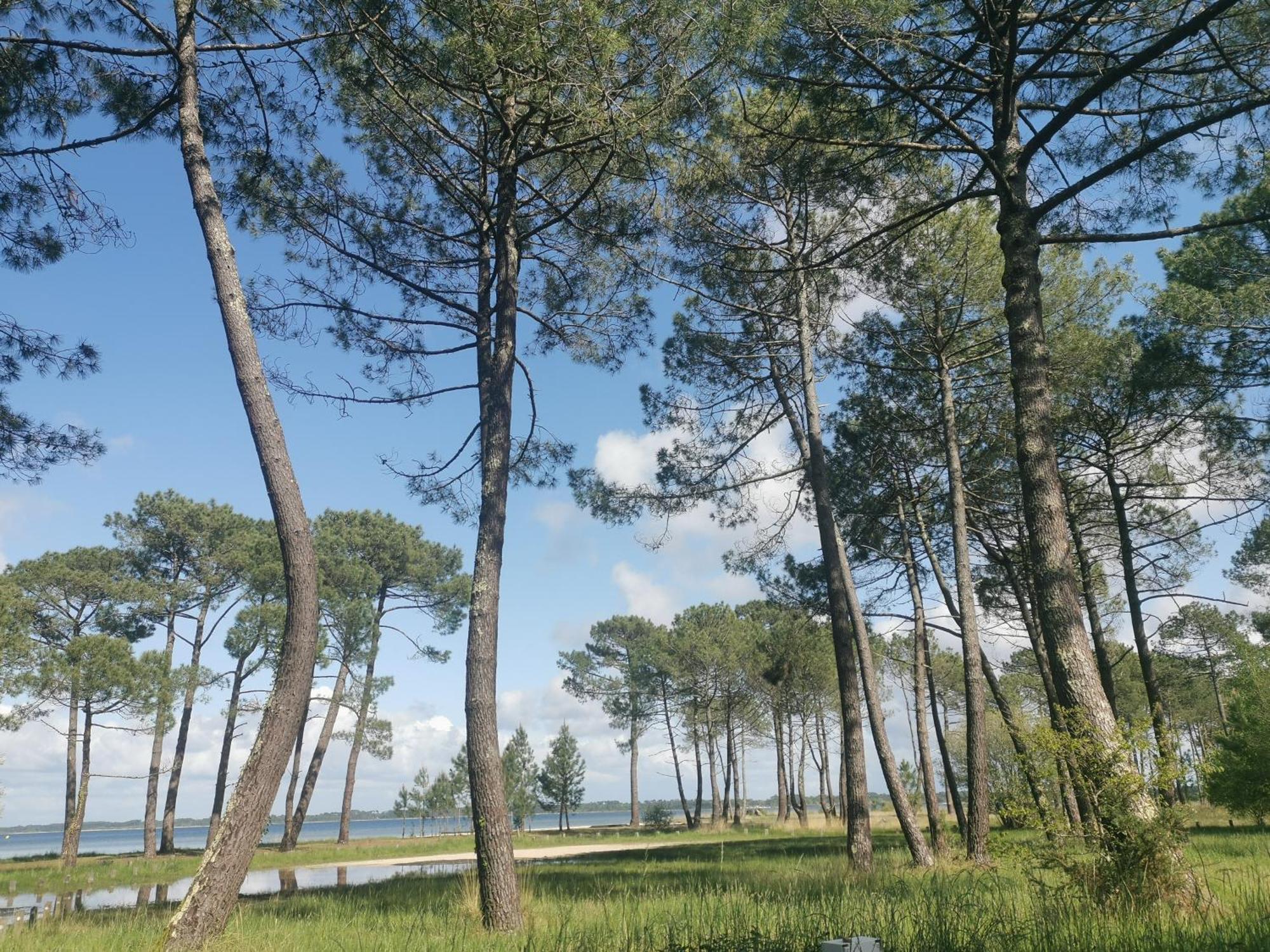 Appartements Au Coeur Du Golf, Proche Du Lac Et Velodyssee Бискаррос Экстерьер фото